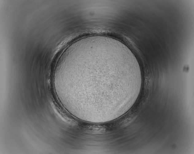 X0000115380443200911241307