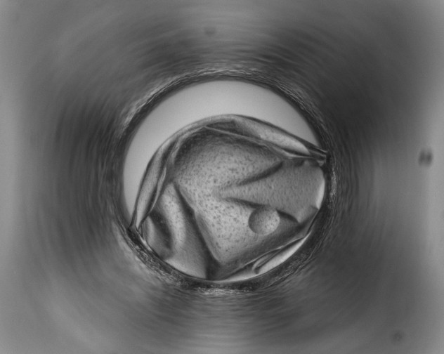 X0000115380444200911241307