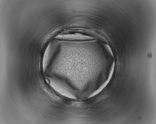 X0000115380446200911241307