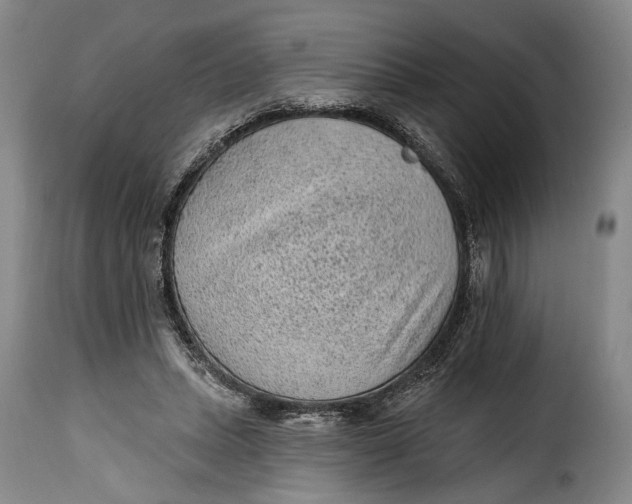 X0000115380447200911241307