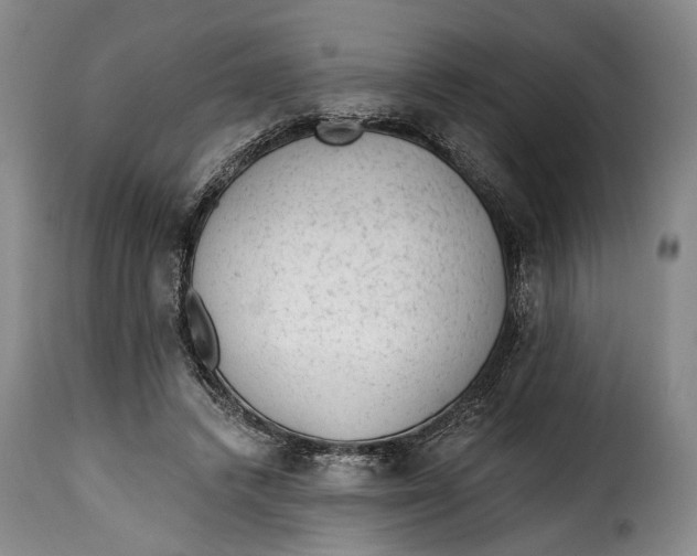 X0000115380448200911241307