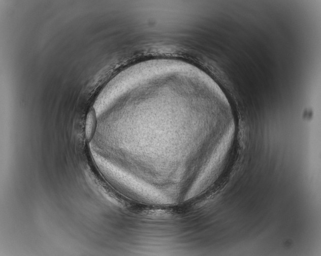 X0000115380449200911241307