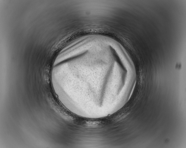 X0000115380450200911241307