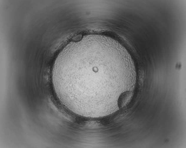 X0000115380451200911241307