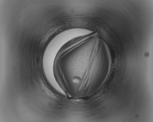 X0000115380452200911241307