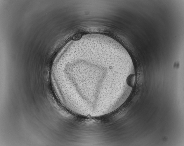 X0000115380453200911241307