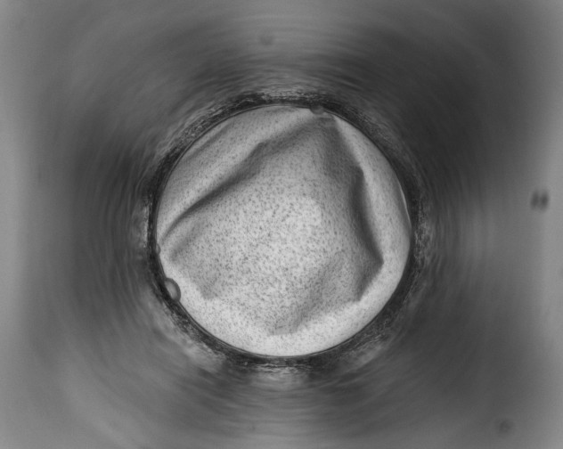 X0000115380454200911241307