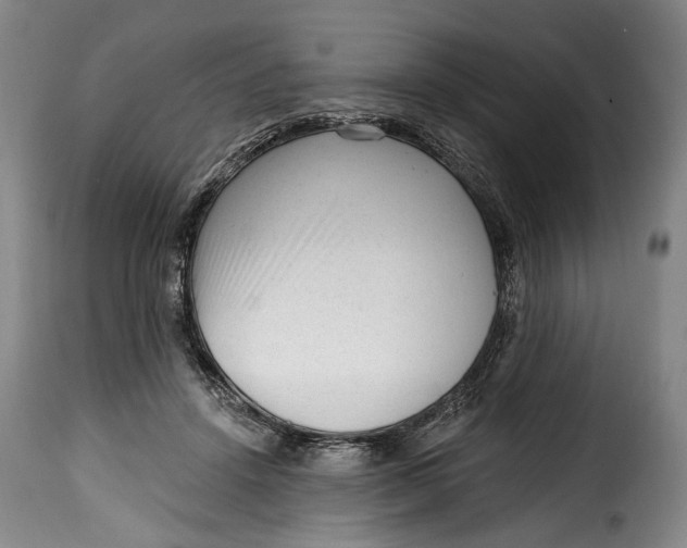 X0000115380456200911241307