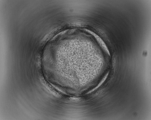 X0000115380457200911241307