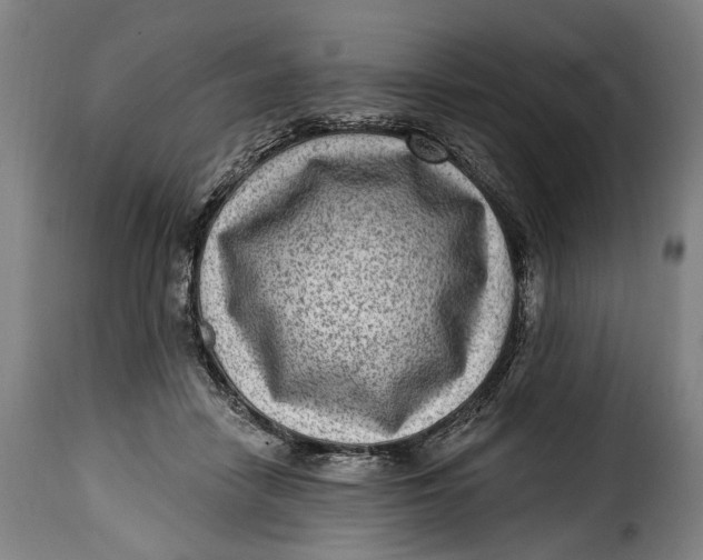 X0000115380458200911241307