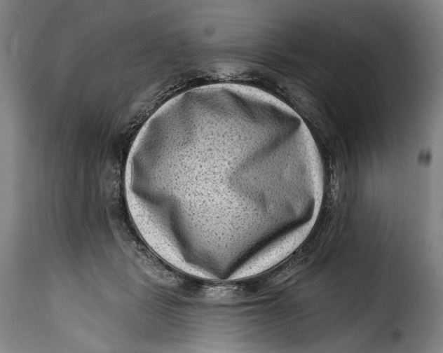 X0000115380461200911241307