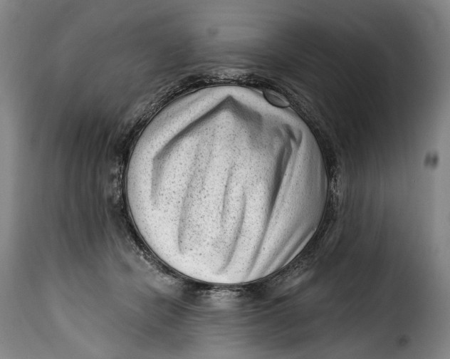 X0000115380462200911241307