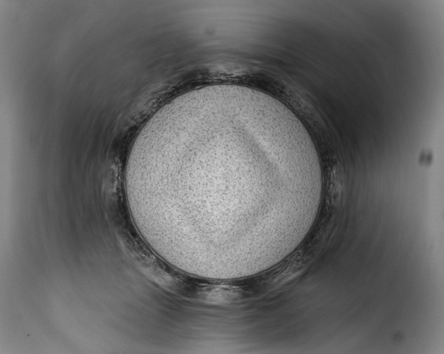 X0000115380463200911241307