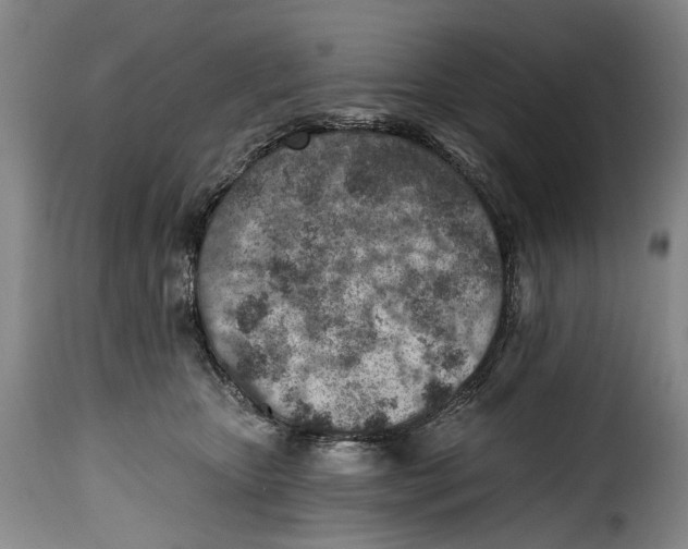 X0000115380467200911241307