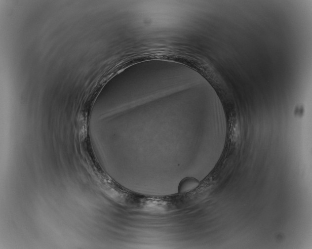 X0000115380471200911241307