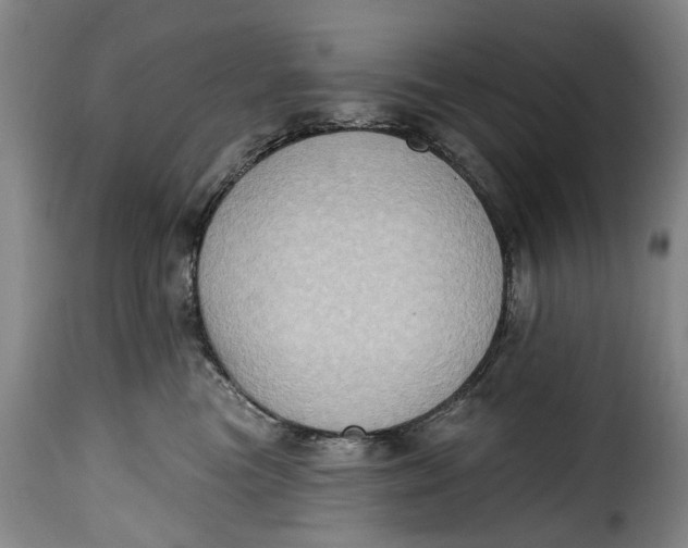 X0000115380473200911241307