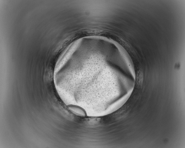 X0000115380474200911241308