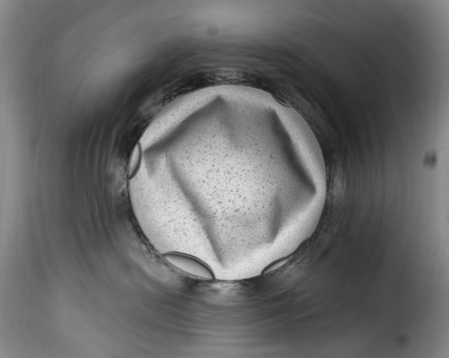 X0000115380478200911241308