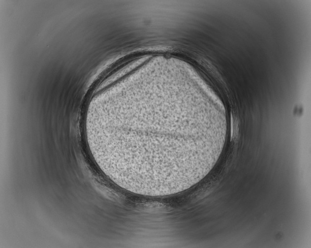 X0000115380483200911241307