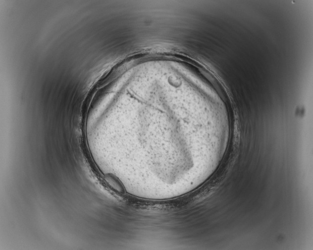 X0000115380485200911241307