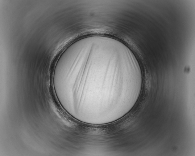 X0000115380486200911241307