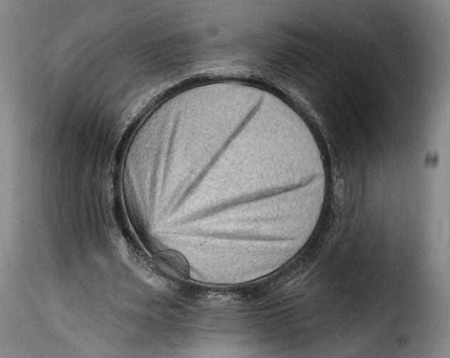 X0000115380487200911241307