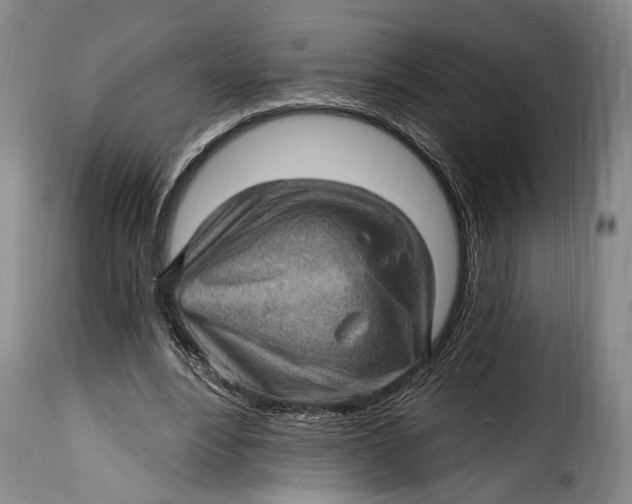 X0000115380488200911241307