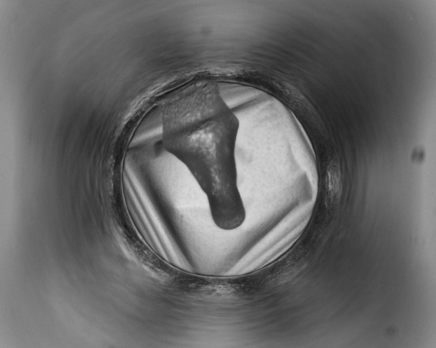 X0000115380492200911241307