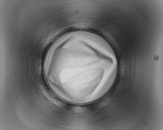 X0000115380494200911241307