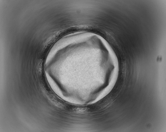 X0000115380495200911241307