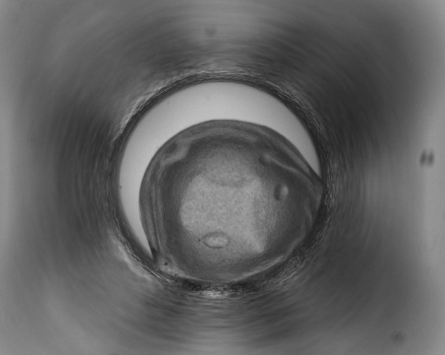 X0000115380496200911241307