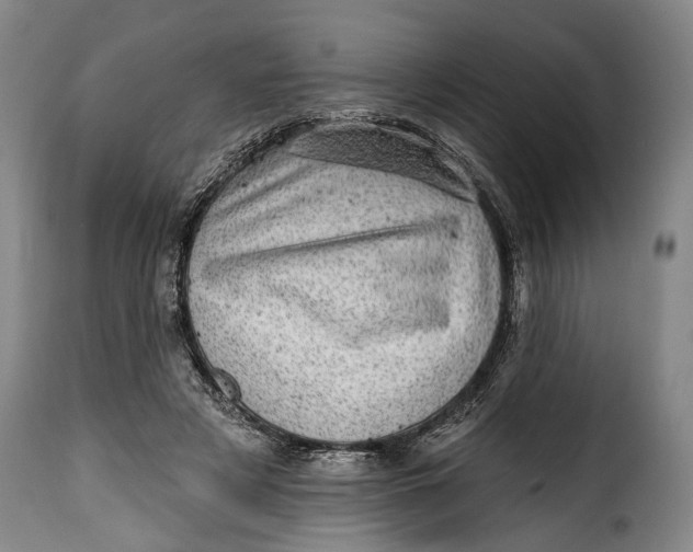 X0000115380497200911241307