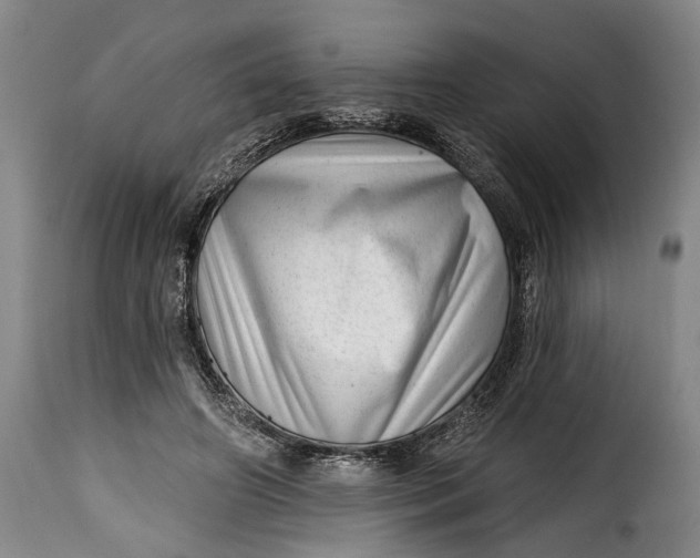 X0000115380498200911241307