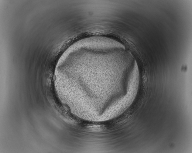 X0000115380499200911241307