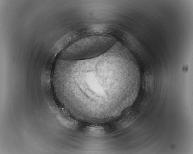 X0000115380500200911241307