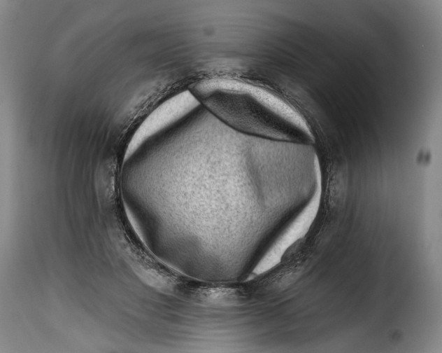 X0000115380501200911241307