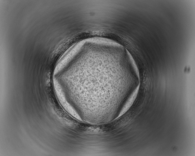 X0000115380502200911241307