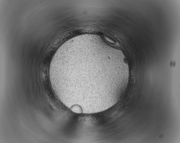 X0000115380503200911241307