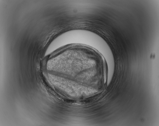 X0000115380504200911241307