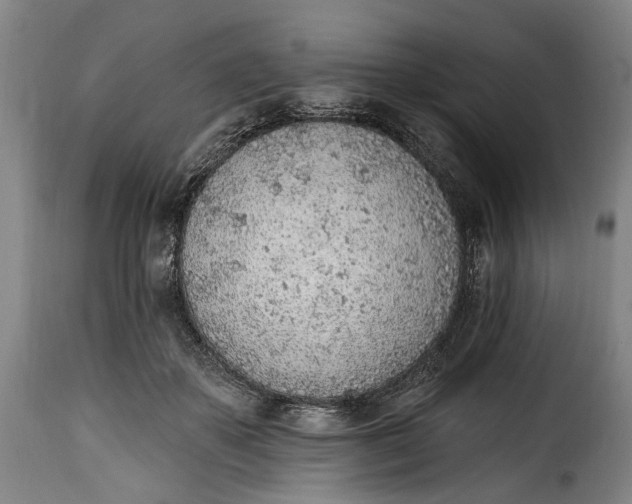 X0000115380507200911241307