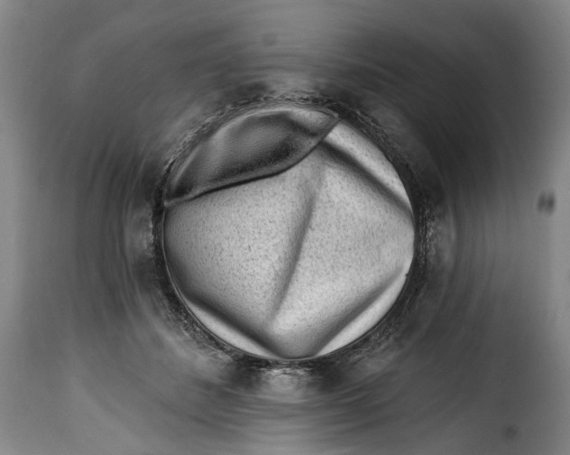 X0000115380508200911241307