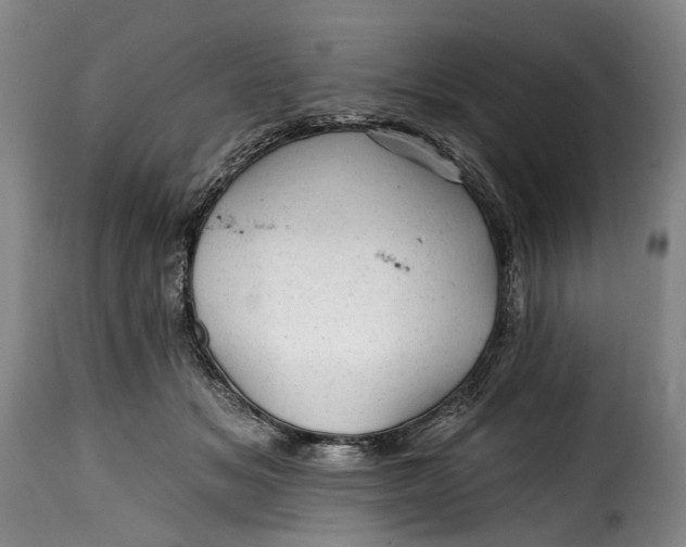 X0000115380509200911241307