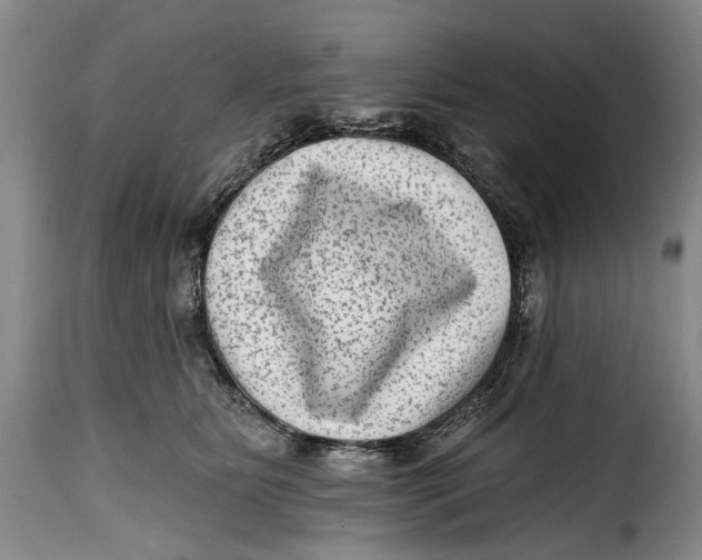 X0000115380515200911241306