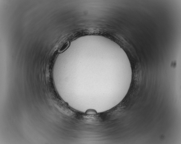 X0000115380516200911241306