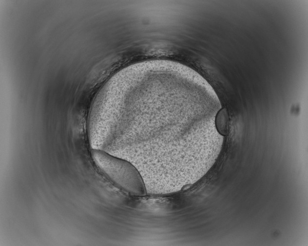 X0000115380517200911241306