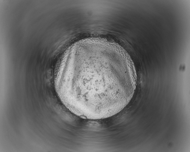 X0000115380519200911241306