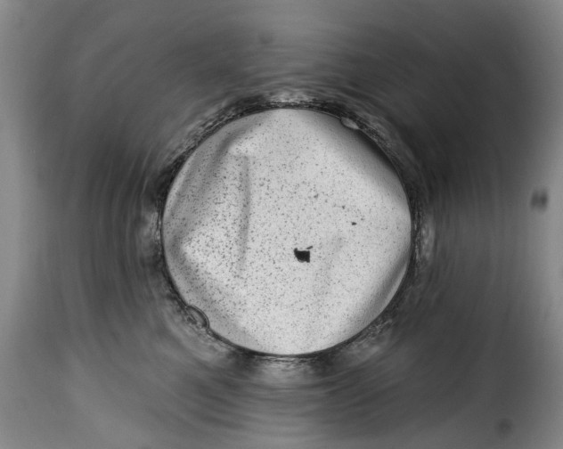 X0000115380521200911241306