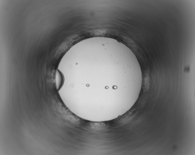 X0000115380525200911241306