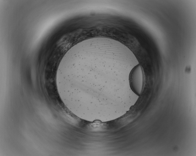 X0000115380526200911241306