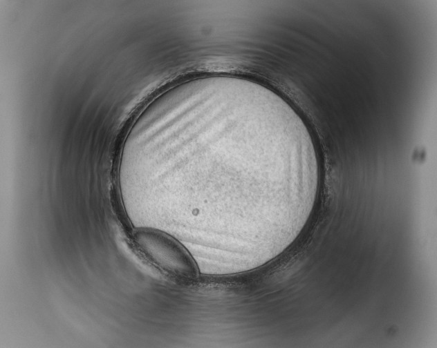 X0000115380530200911241305